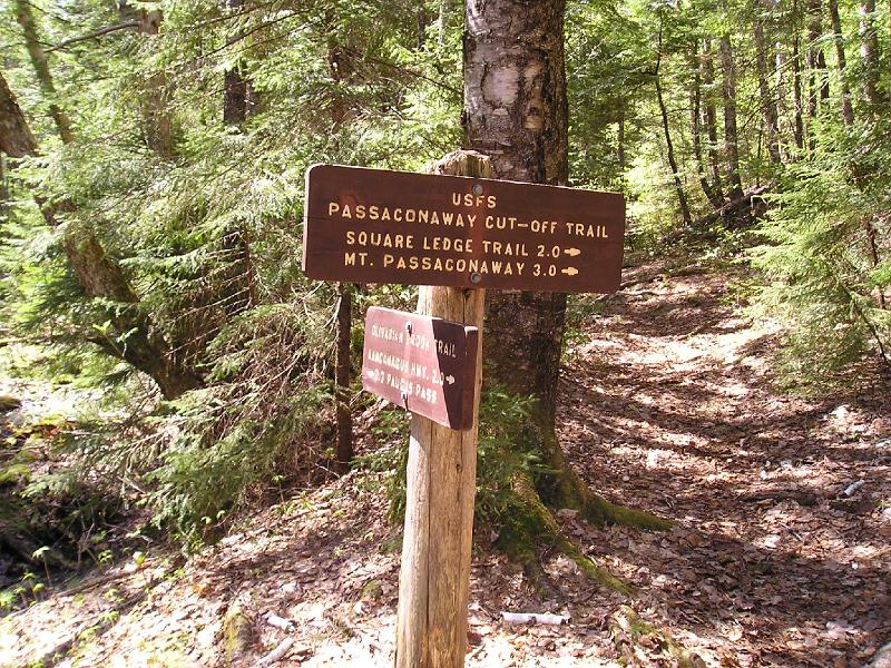 SquareLedge (5).JPG - Almost 2 miles and 1 hour in we came upon the Passaconaway cut off trail. This will be our way out later in the day.